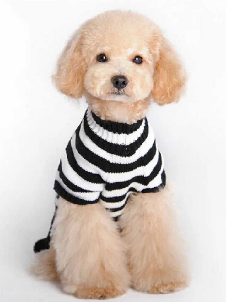 Dog Skull & Pumpkin Halloween Sweater Costume Mia Belle Girls