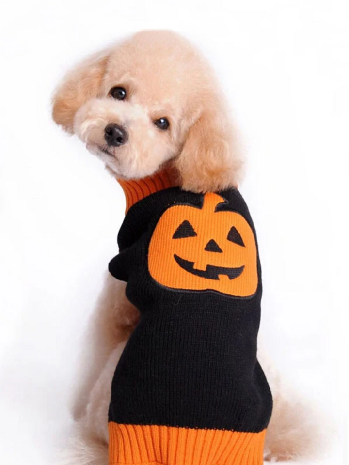 Dog Skull & Pumpkin Halloween Sweater Costume Mia Belle Girls