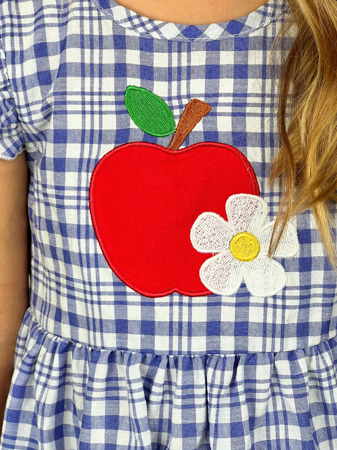 Apple of My Class Gingham Dress