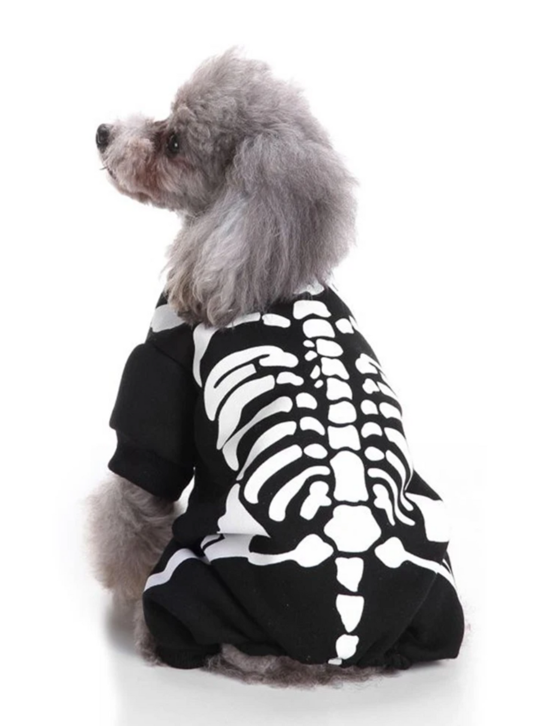 Dog Spooky Skeleton Halloween Costume Mia Belle Girls