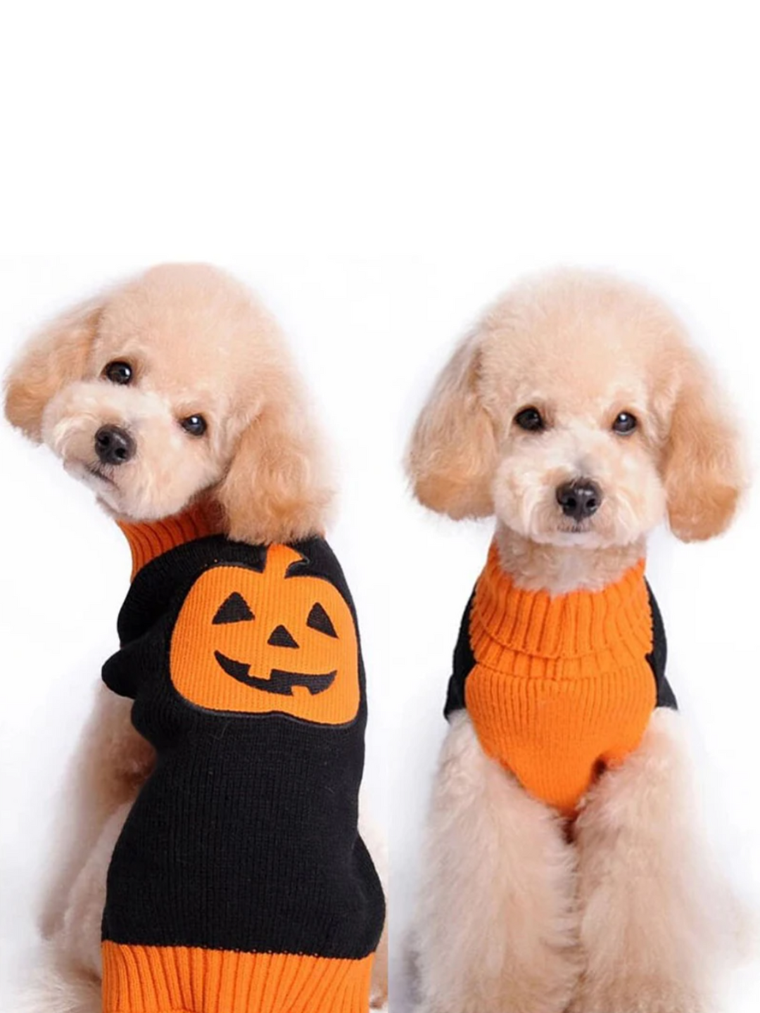 Dog Skull & Pumpkin Halloween Sweater Costume Mia Belle Girls
