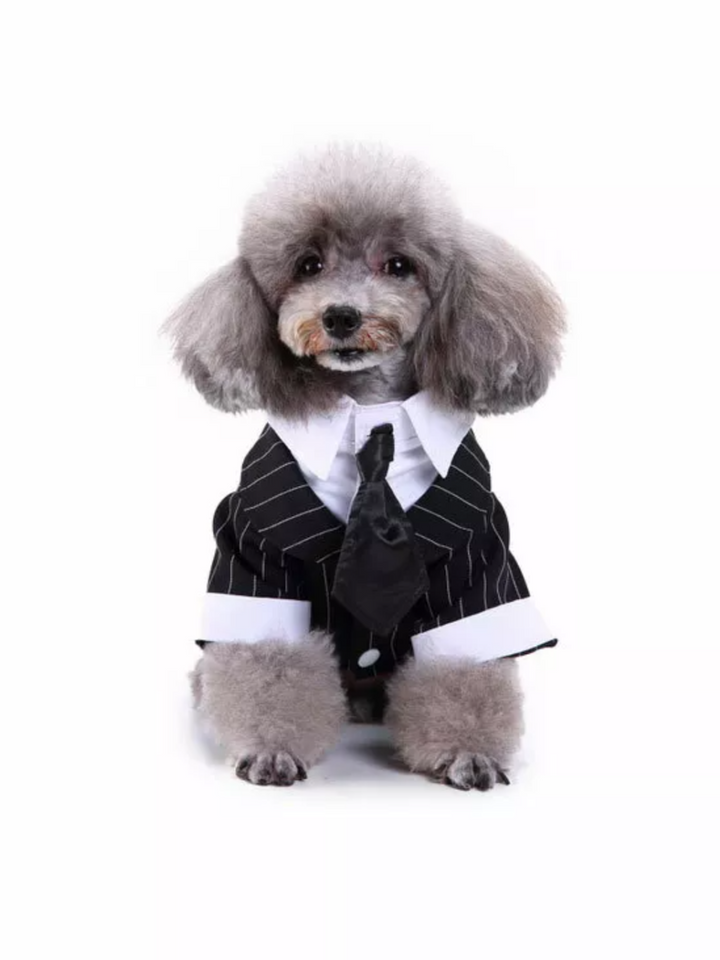 Striped Dog Tuxedo Bow Tie Gentleman Halloween Costume Mia Belle Girls