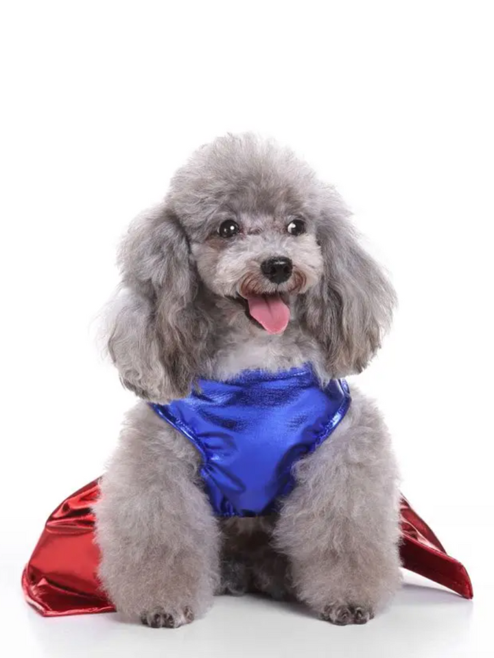 Superpaw Super Dog Halloween Costume Mia Belle Girls
