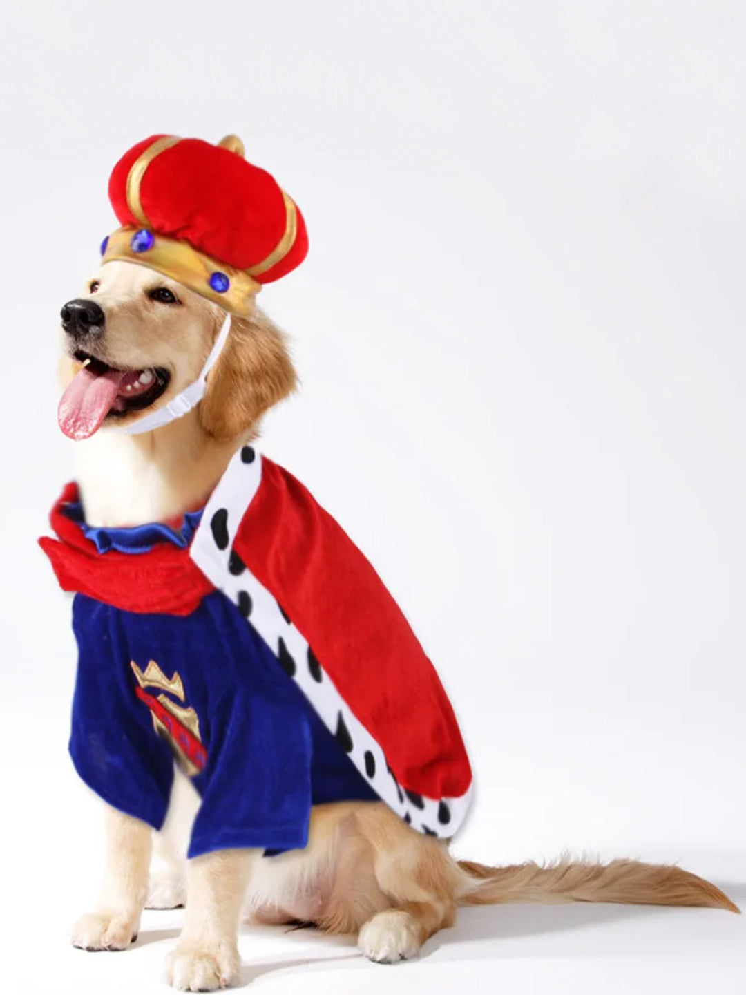 Dog Royal King Halloween Costume Mia Belle Girls