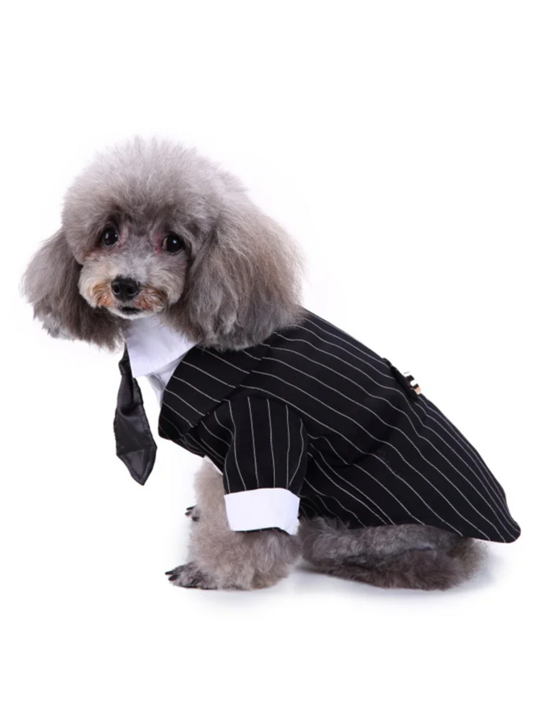 Striped Dog Tuxedo Bow Tie Gentleman Halloween Costume Mia Belle Girls