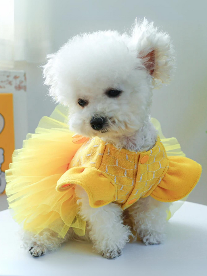 Dog Beauty Tutu Halloween Costume Mia Belle Girls