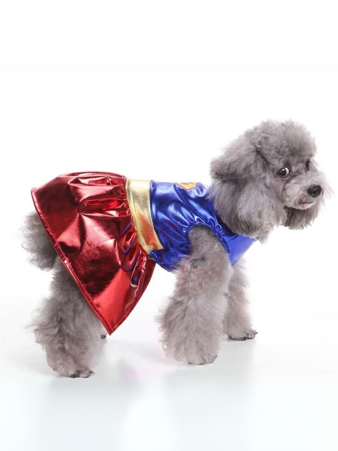Superpaw Super Dog Halloween Costume Mia Belle Girls