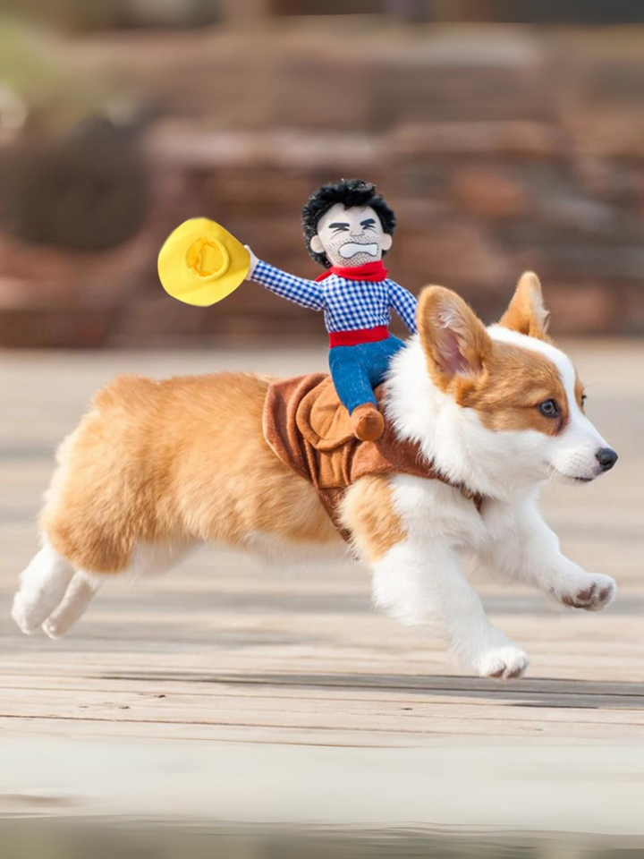 Dog Cowboy Rider Halloween Costume Mia Belle Girls
