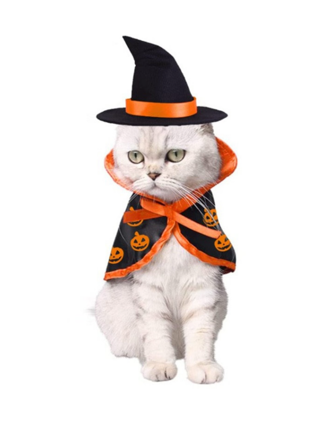 Pets Charming Witch Cloak and Hat Halloween Costume Mia Belle Girls