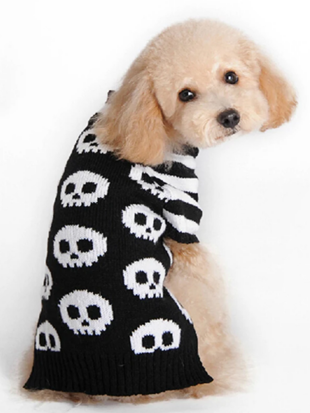 Dog Skull & Pumpkin Halloween Sweater Costume Mia Belle Girls
