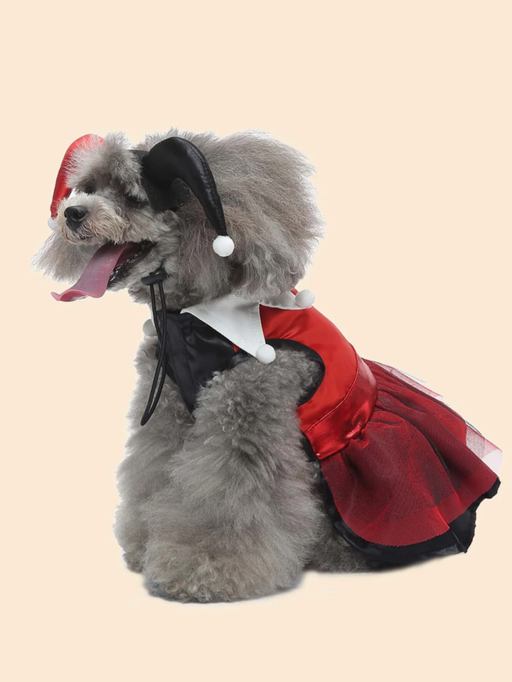 Dog Adorable  Magician Halloween Costume Mia Belle Girls