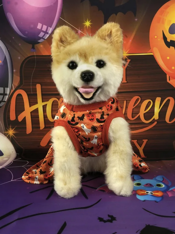 Dog Spooky Pumpkin Halloween Costume Mia Belle Girls