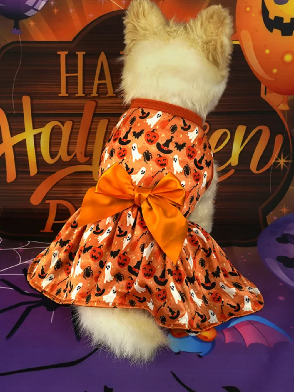 Dog Spooky Pumpkin Halloween Costume Mia Belle Girls