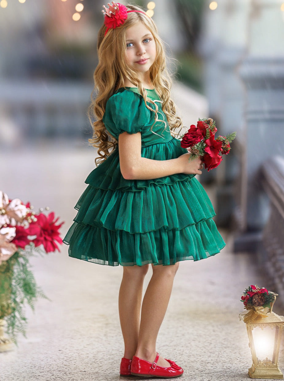 Toddler Fancy Holiday Dresses | Shimmer Chiffon Puff Princess Dress