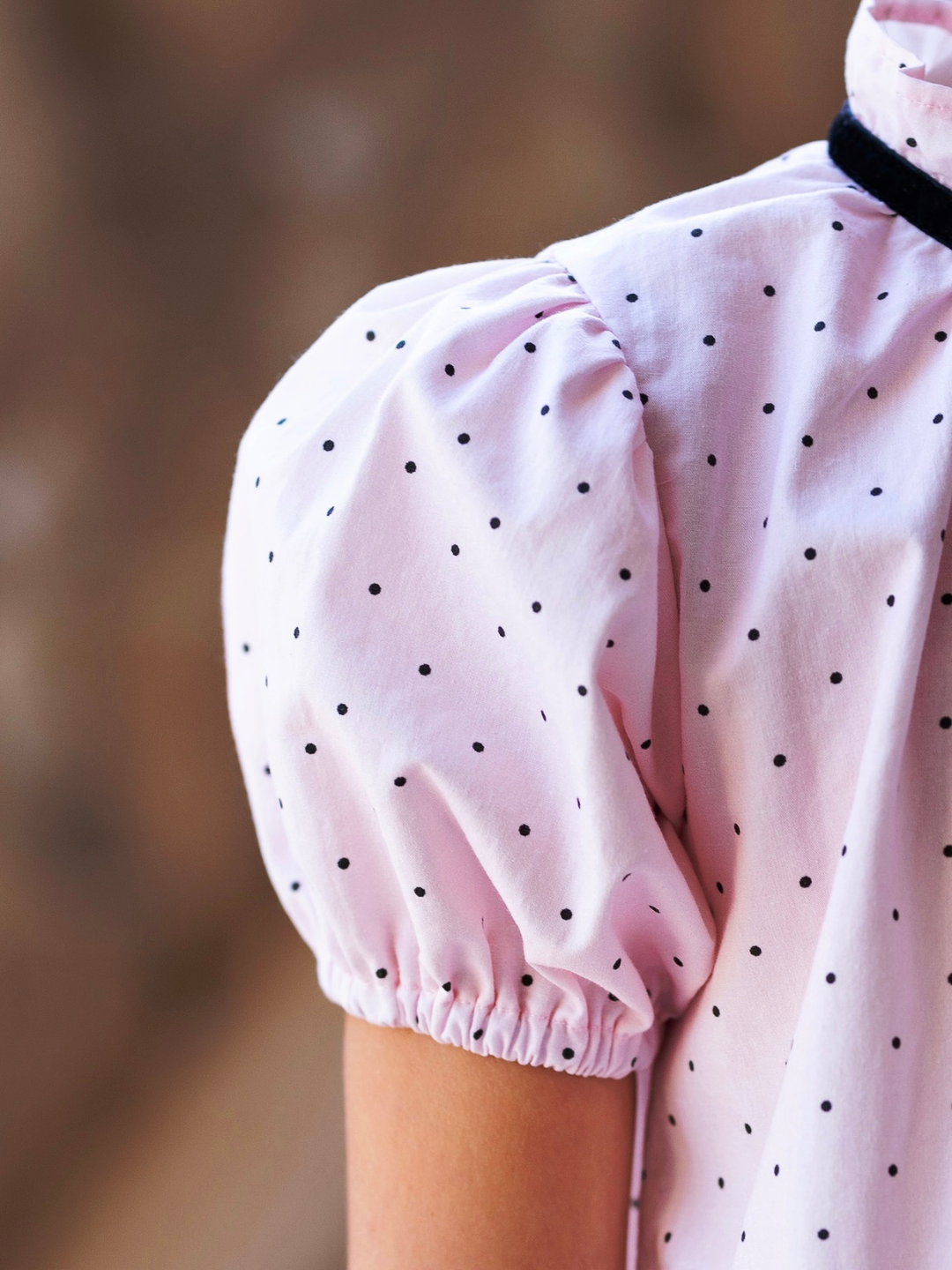 Sweet Elegance Swiss Dot Dress
