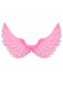 Girls Pink Feather Wings