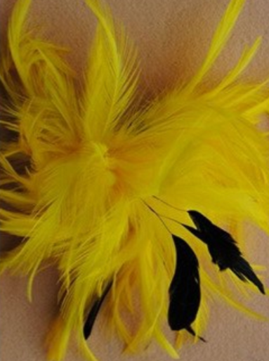 Girls Feather Fascinator with Alligator Clip