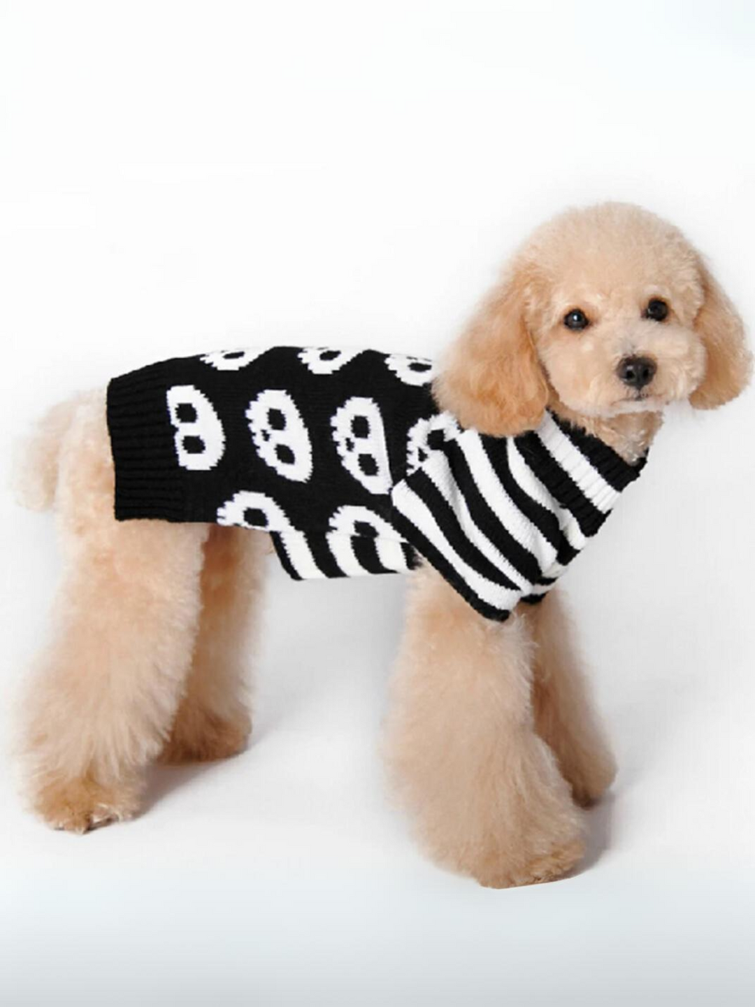Dog Skull & Pumpkin Halloween Sweater Costume Mia Belle Girls