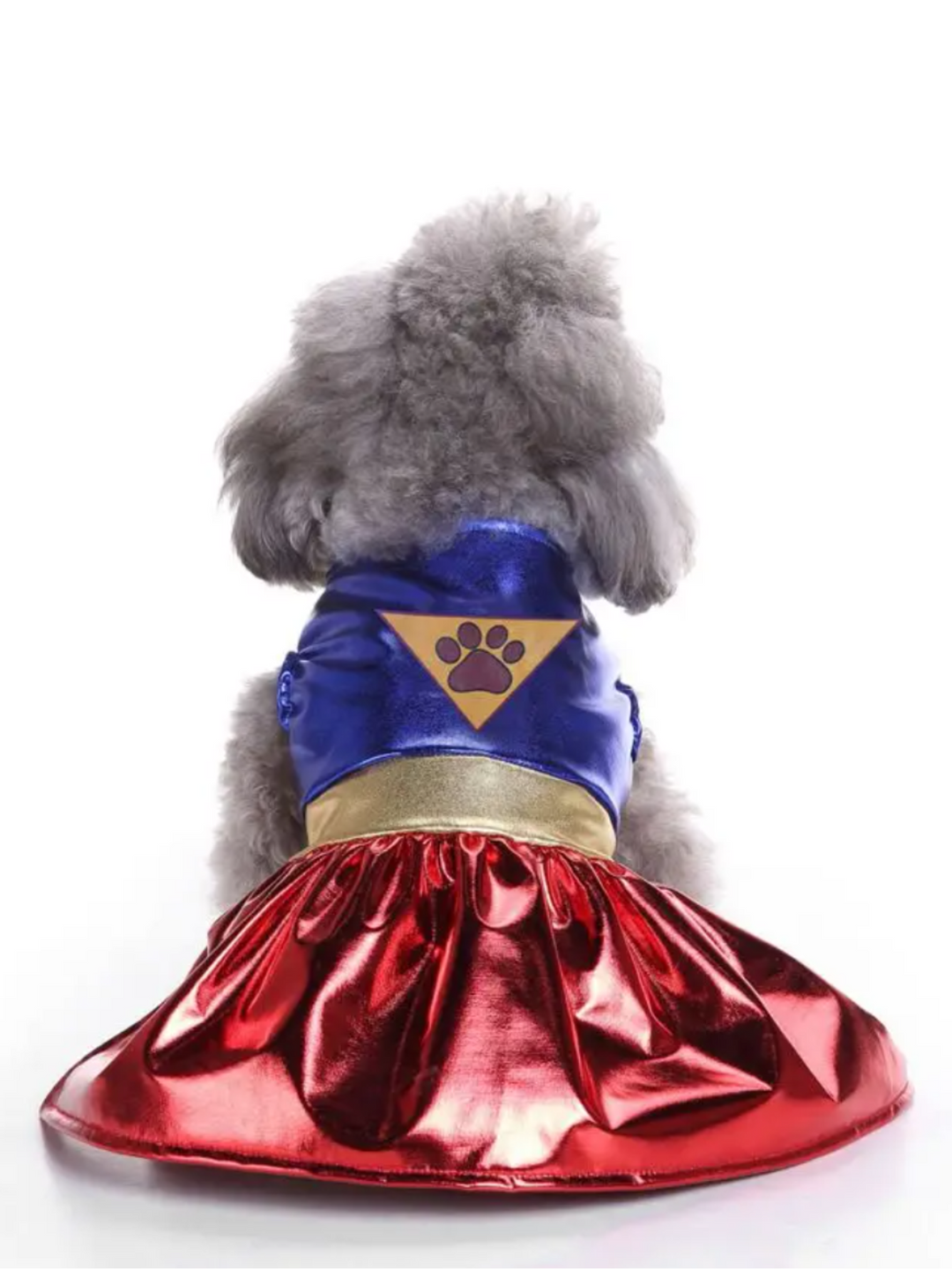 Superpaw Super Dog Halloween Costume Mia Belle Girls