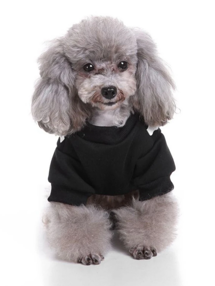 Dog Spooky Skeleton Halloween Costume Mia Belle Girls