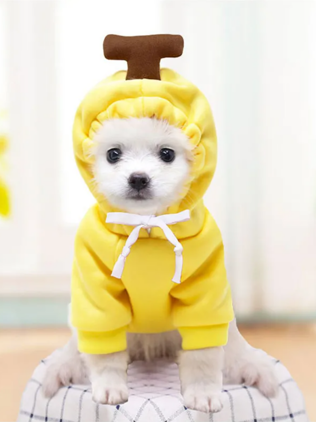 Adorable Banana Dog Halloween Costume Mia Belle Girls