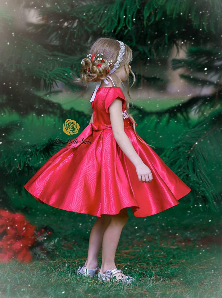 Girls Embroidered Lace Applique Holiday Dress - Girls Fall Dressy Dress